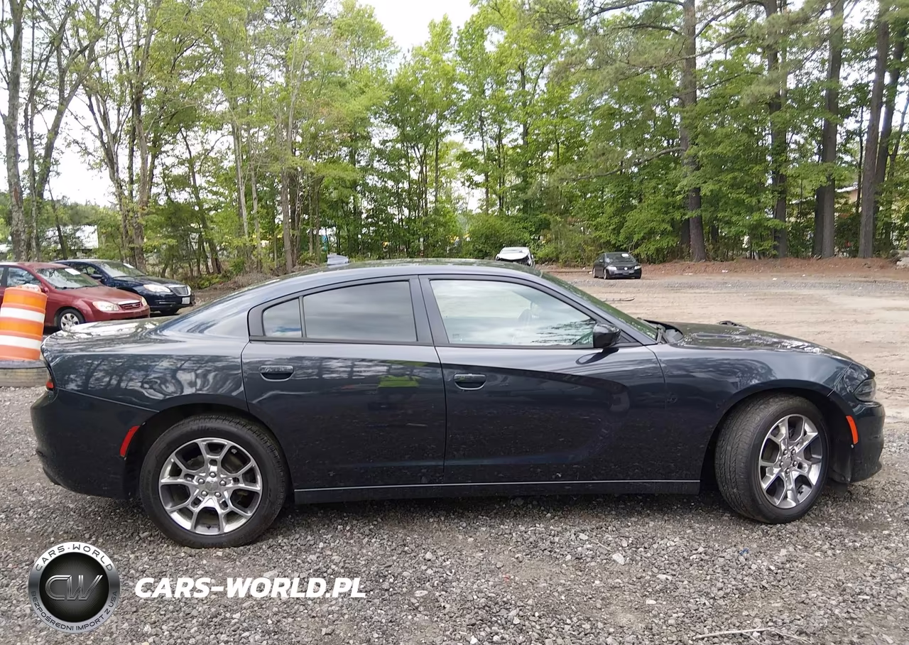 2016 Dodge Charger Sxt VIN:2C3CDXJGXGH259725 - 13