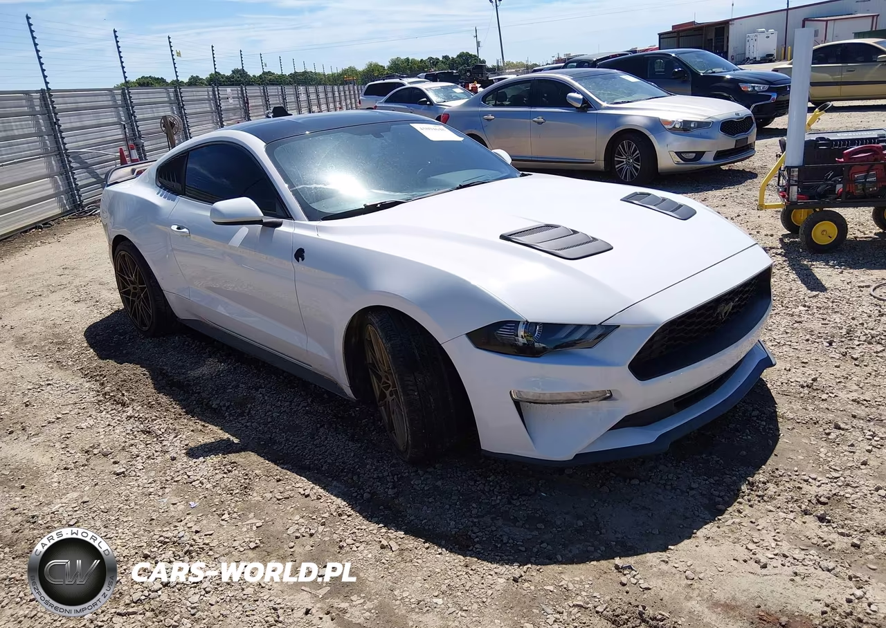 2020 Ford Mustang Ecoboost Fastback – zdjęcie 1 z 11