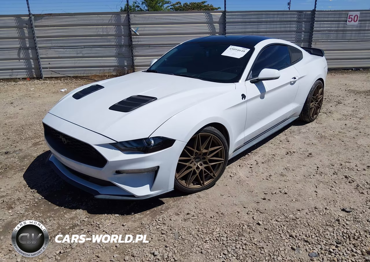 2020 Ford Mustang Ecoboost Fastback VIN:1FA6P8TH8L5103587 - 2