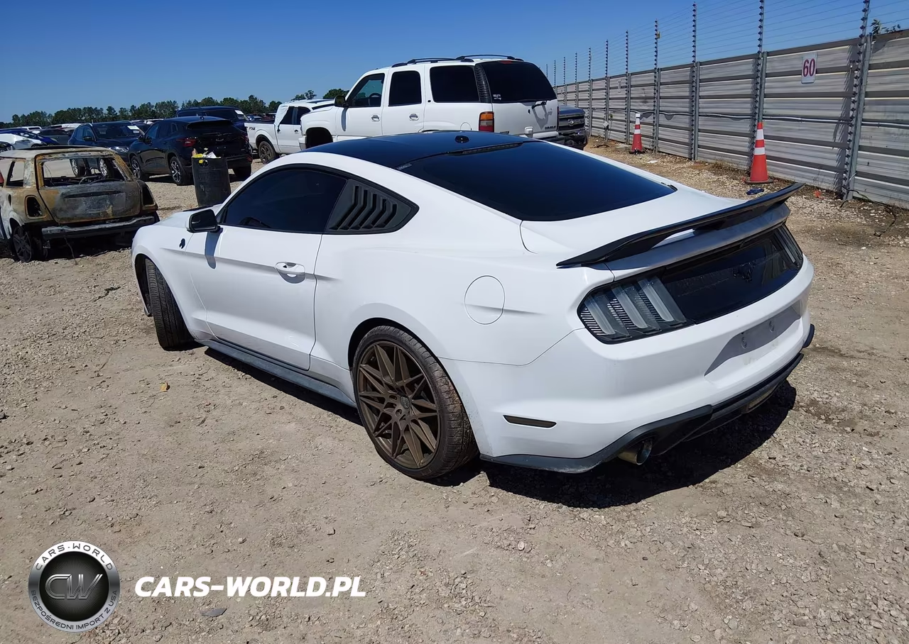 2020 Ford Mustang Ecoboost Fastback VIN:1FA6P8TH8L5103587 - 3