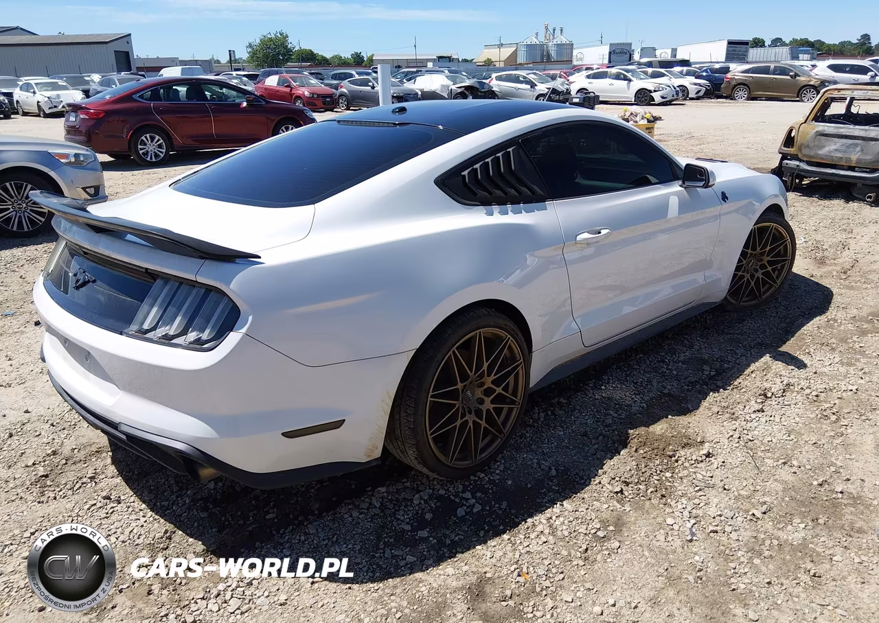 2020 Ford Mustang Ecoboost Fastback VIN:1FA6P8TH8L5103587 - 4