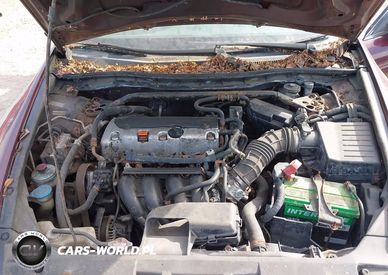 2010 Honda Accord 2.4 Ex VIN:1HGCP2E76AA062820 - 10