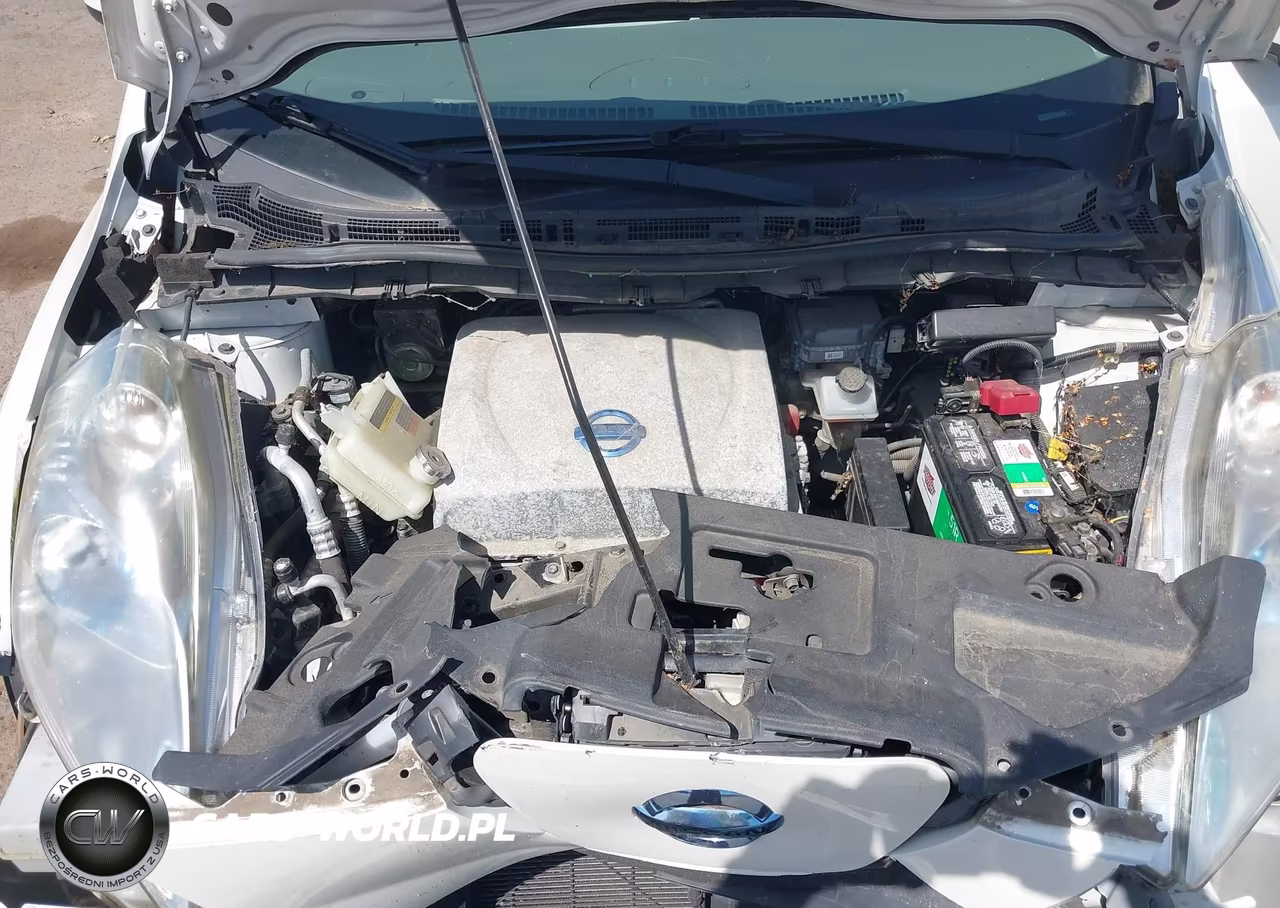 2014 Nissan Leaf S-Sl-Sv VIN:1N4AZ0CP5EC330506 - 10