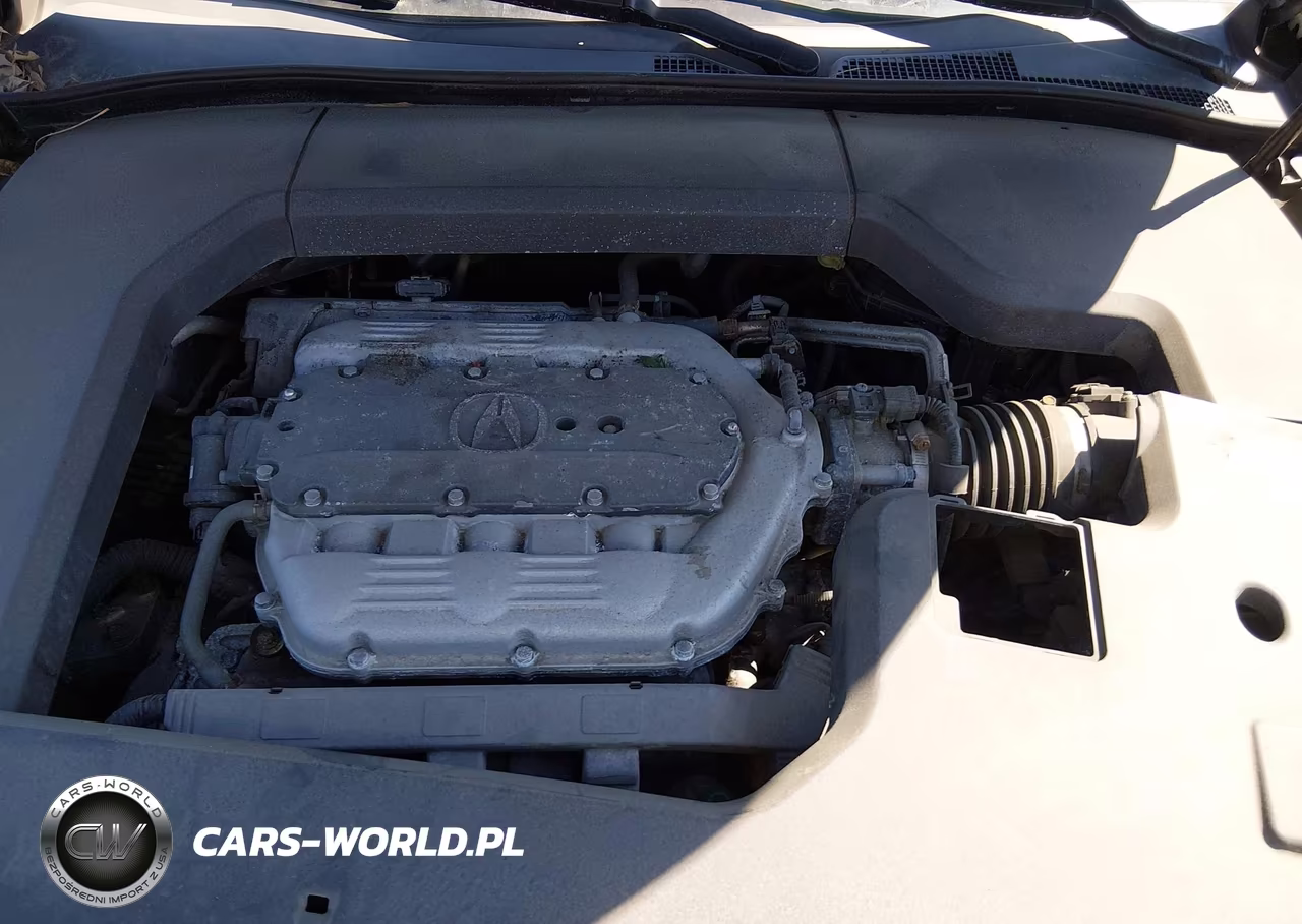 2009 Acura Tl 3.5 VIN:19UUA865X9A011001 - 10