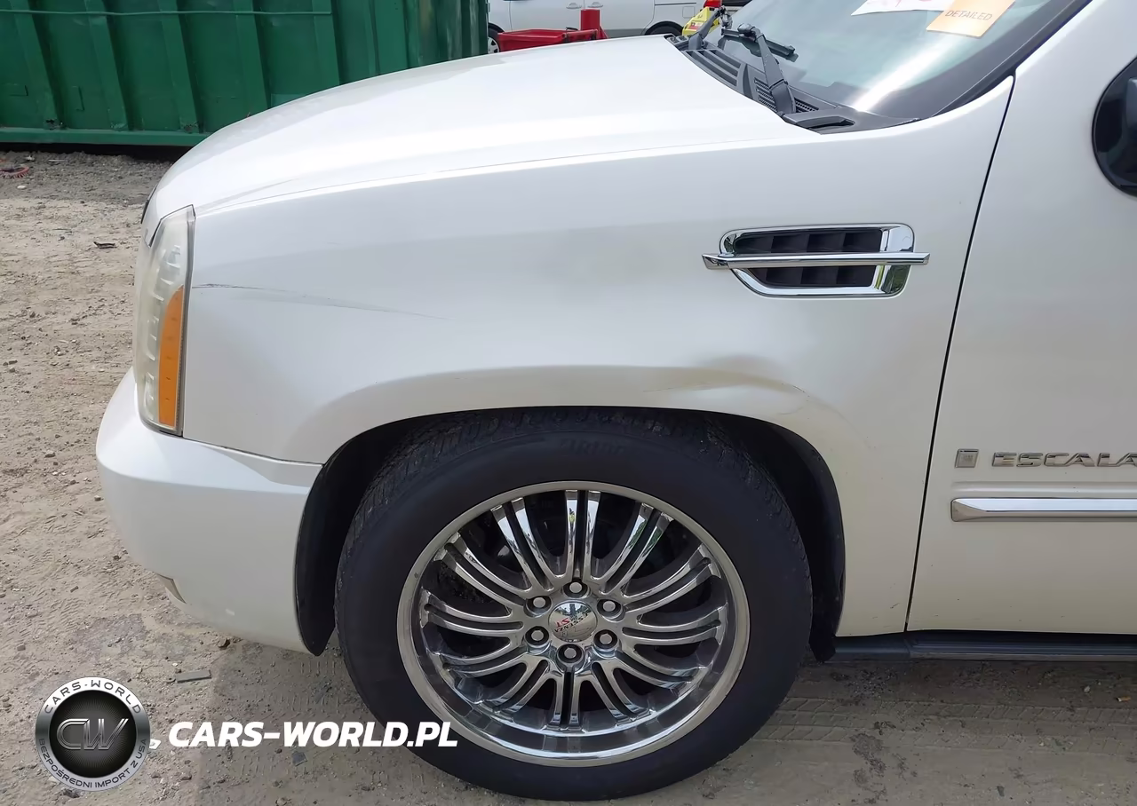 2008 Cadillac Escalade Esv Standard VIN:1GYFK668X8R173059 - 19
