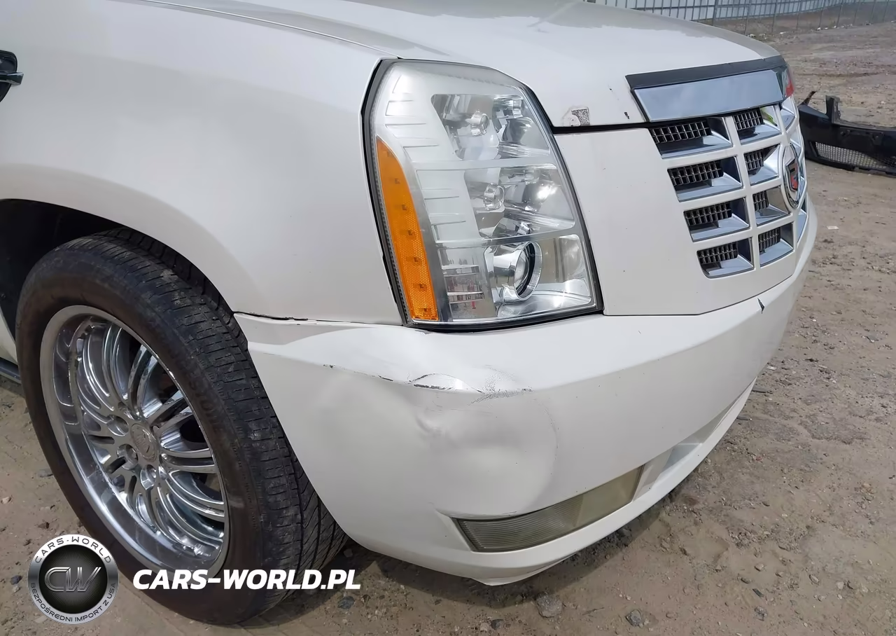 2008 Cadillac Escalade Esv Standard VIN:1GYFK668X8R173059 - 20