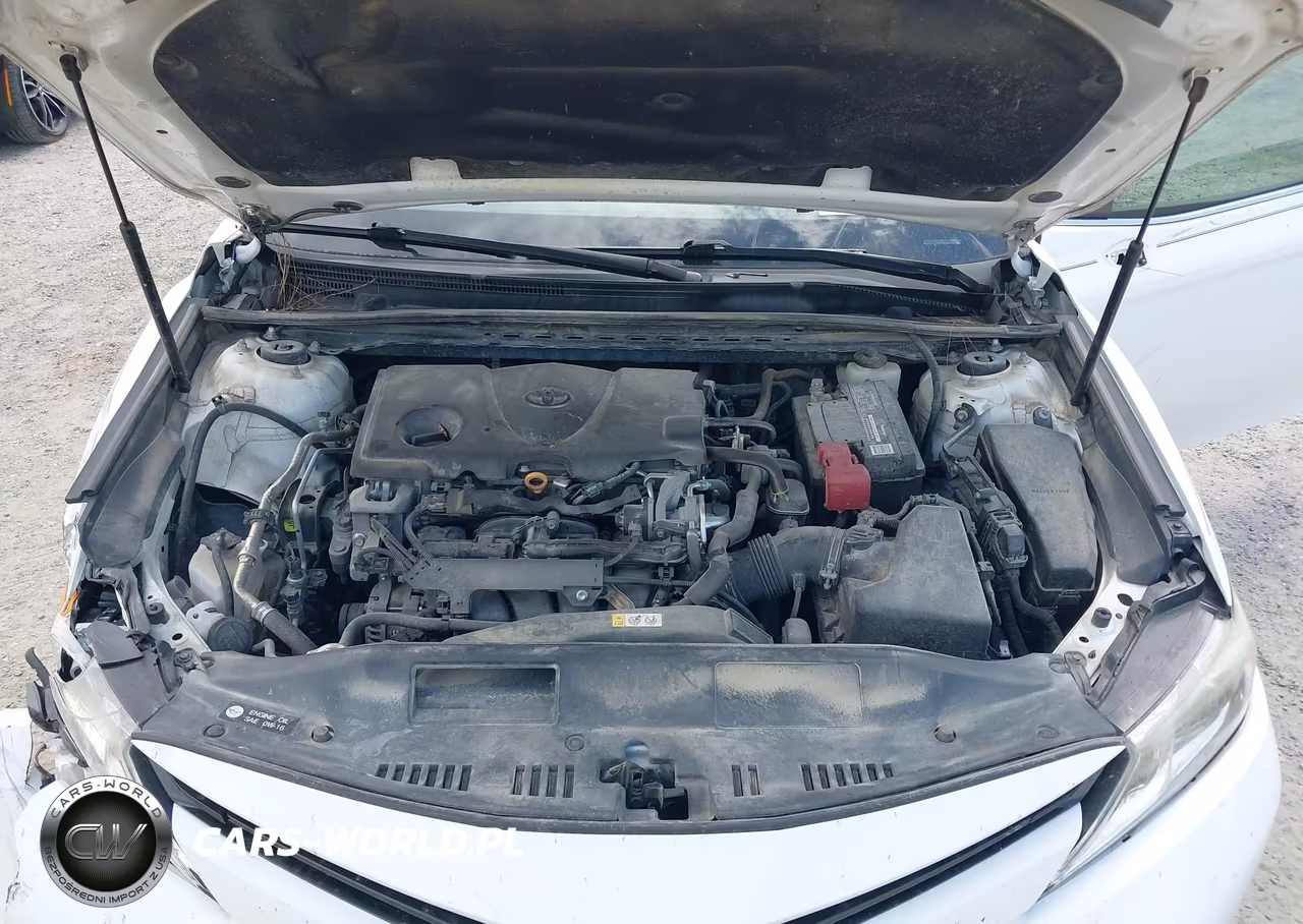 2019 Toyota Camry Le VIN:4T1B11HK7KU286339 - 10
