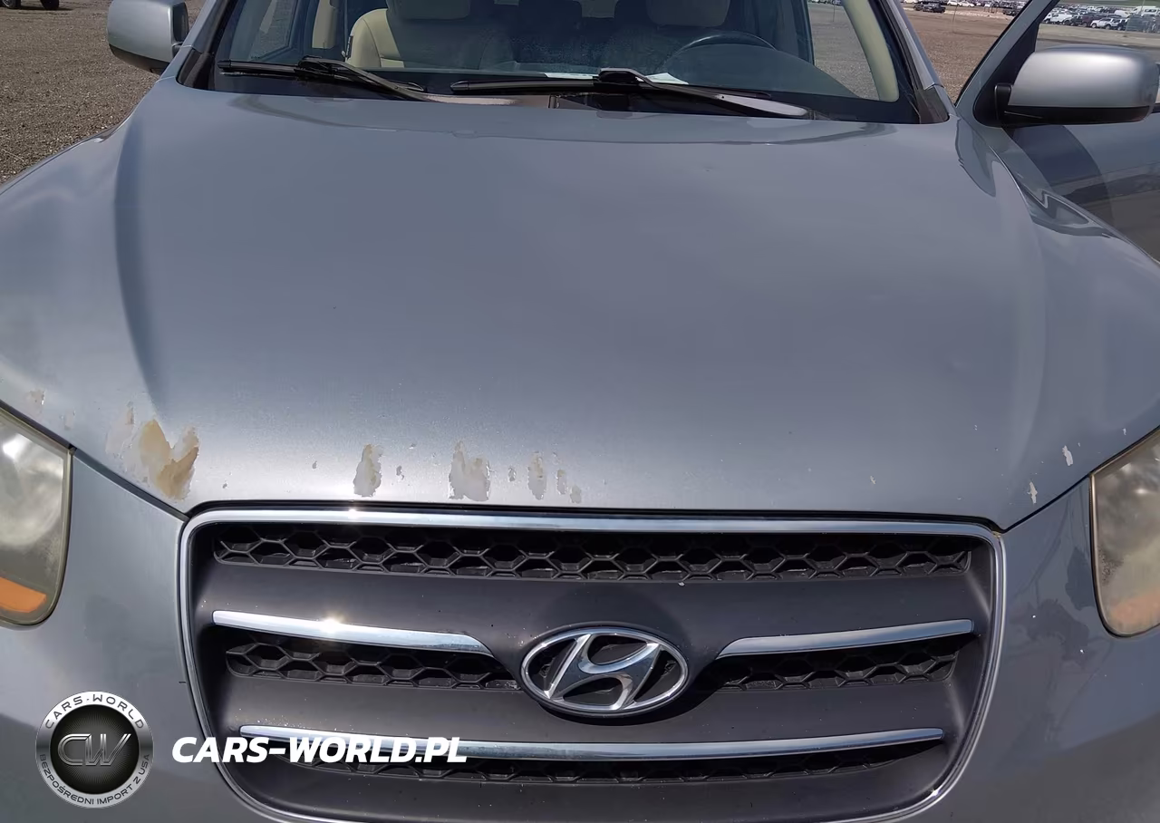 2008 Hyundai Santa Fe Limited-Se VIN:5NMSH73E38H171922 - 12