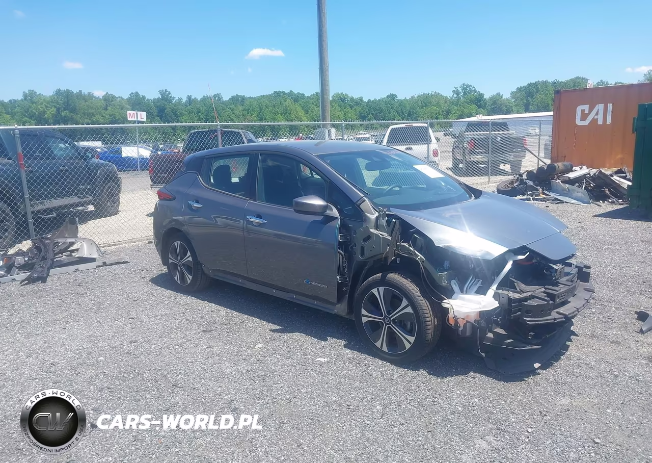 2019 Nissan Leaf Sv