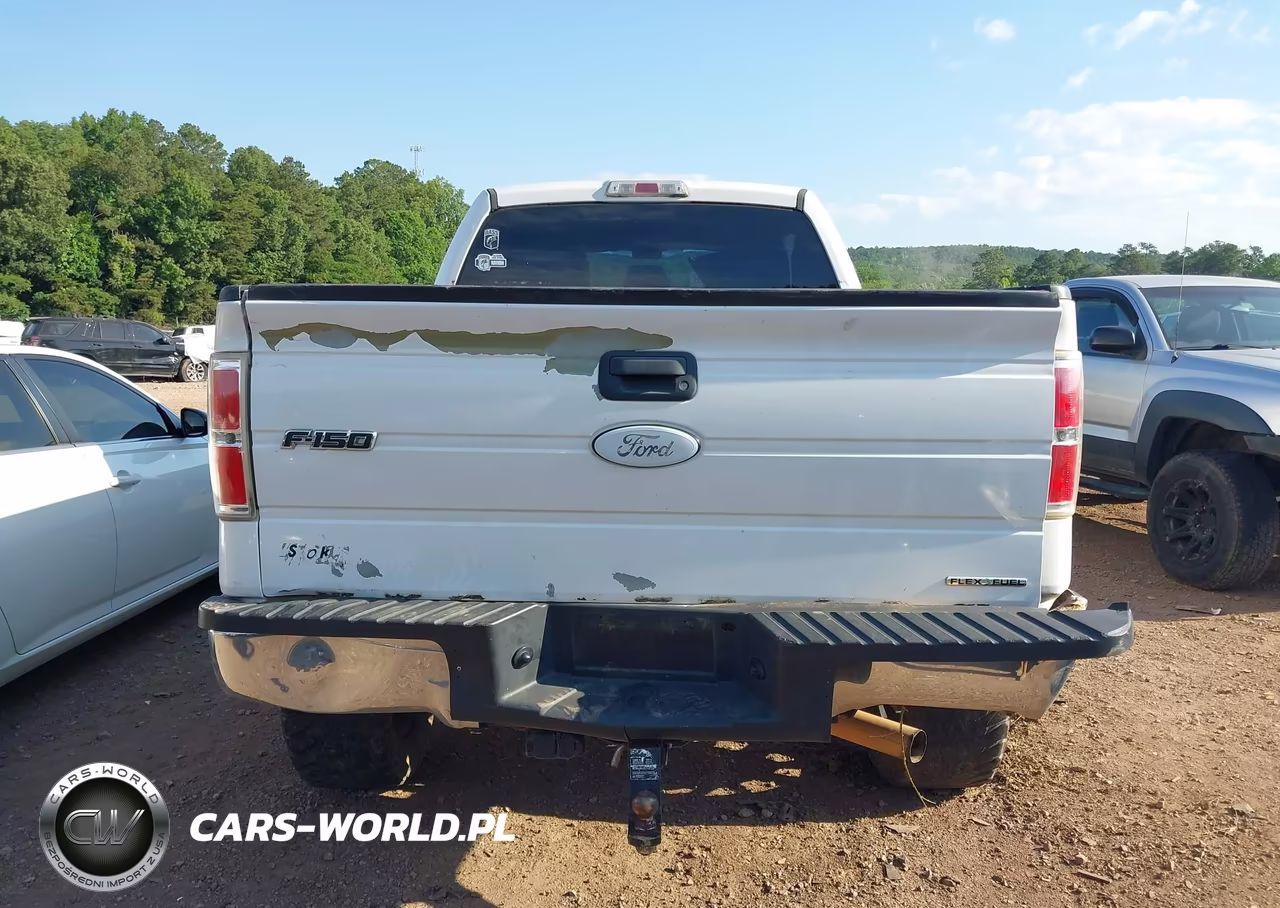 2014 Ford F-150 Xl VIN:1FTFW1EF2EKF95036 - 17