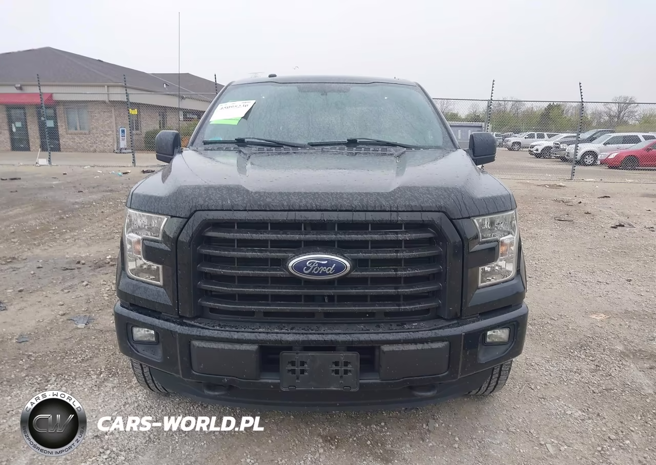 2016 Ford F-150 Xlt VIN:1FTEW1EP5GFC73894 - 12
