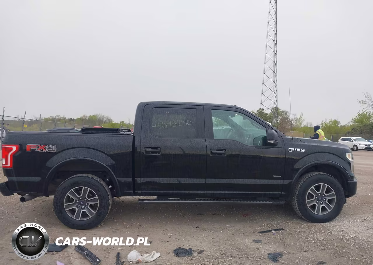 2016 Ford F-150 Xlt VIN:1FTEW1EP5GFC73894 - 13