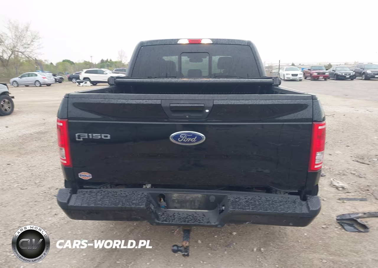 2016 Ford F-150 Xlt VIN:1FTEW1EP5GFC73894 - 16