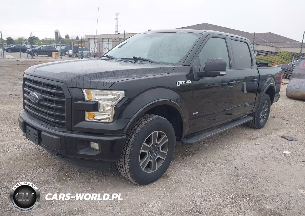 2016 Ford F-150 Xlt VIN:1FTEW1EP5GFC73894 - 2