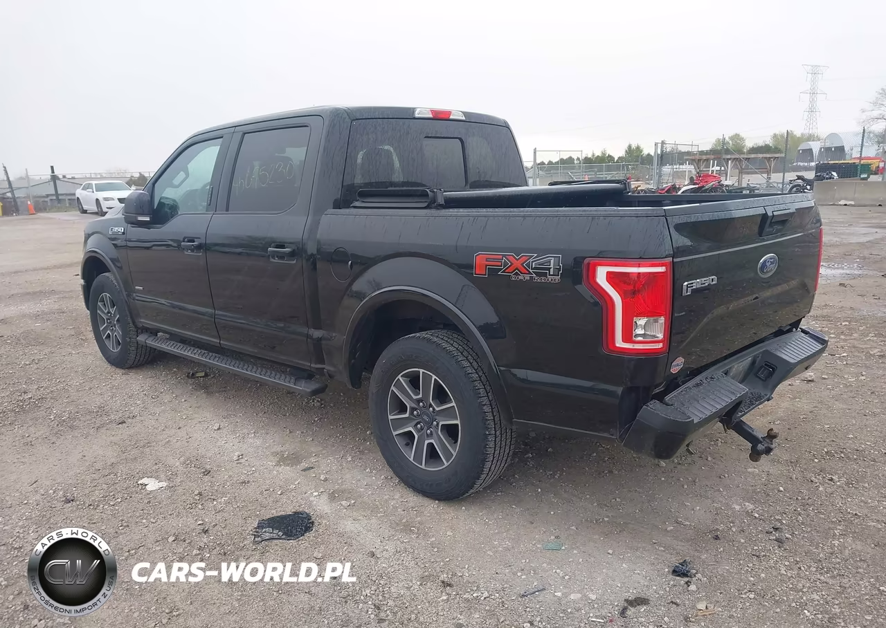2016 Ford F-150 Xlt VIN:1FTEW1EP5GFC73894 - 3