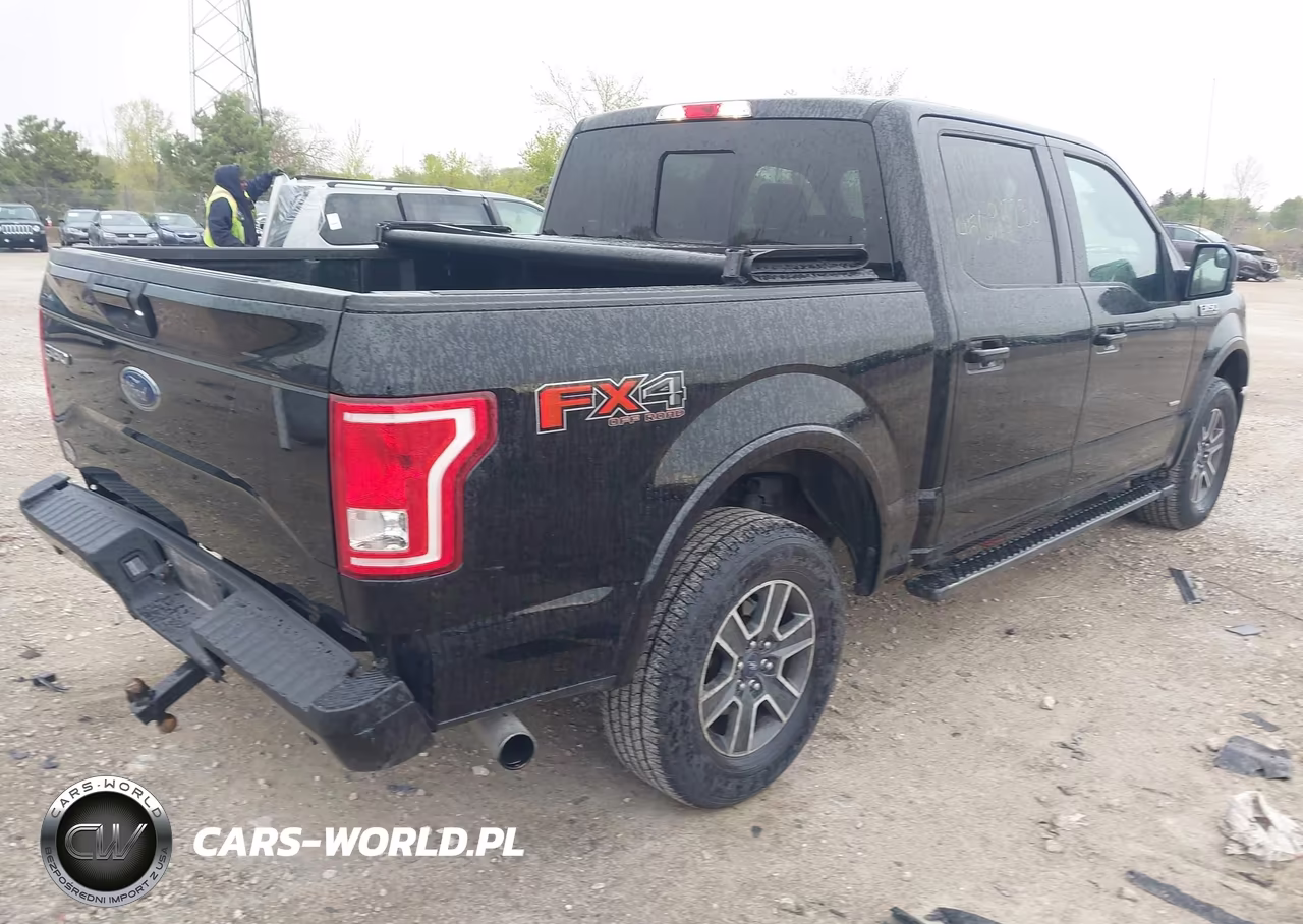 2016 Ford F-150 Xlt VIN:1FTEW1EP5GFC73894 - 4