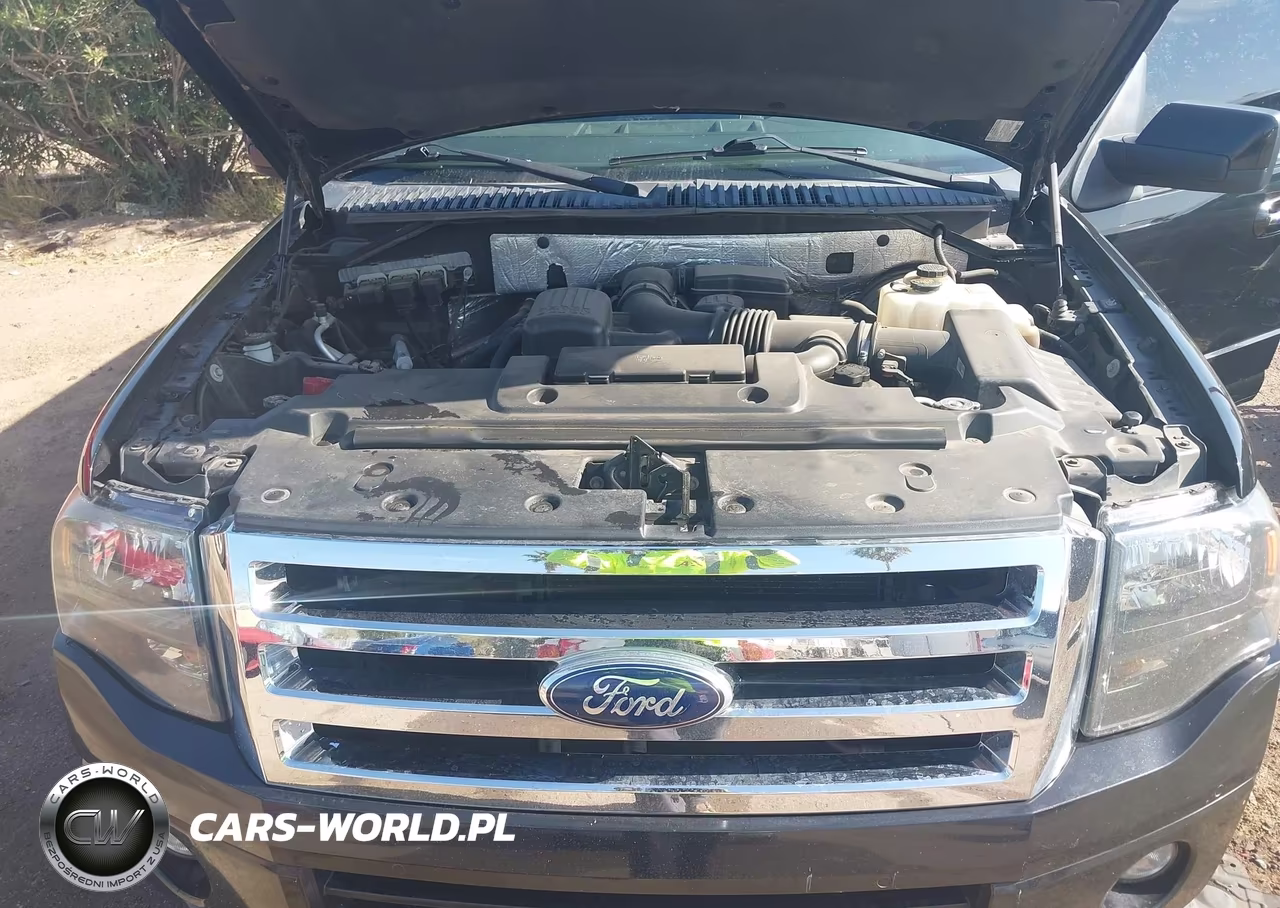 2013 Ford Expedition Limited VIN:1FMJU1K52DEF12306 - 10
