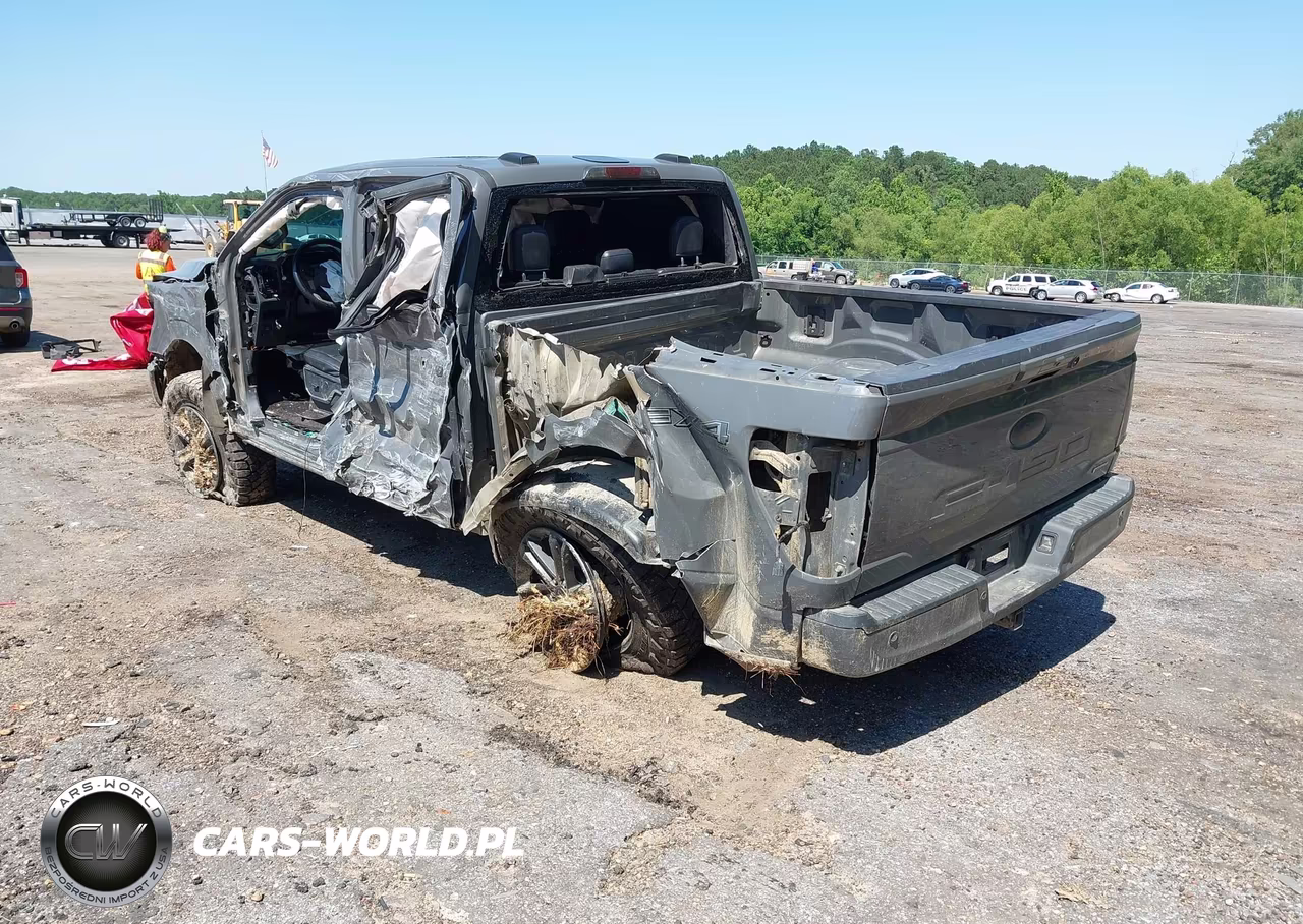 2021 Ford F-150 Lariat VIN:1FTEW1EP0MFA95615 - 3