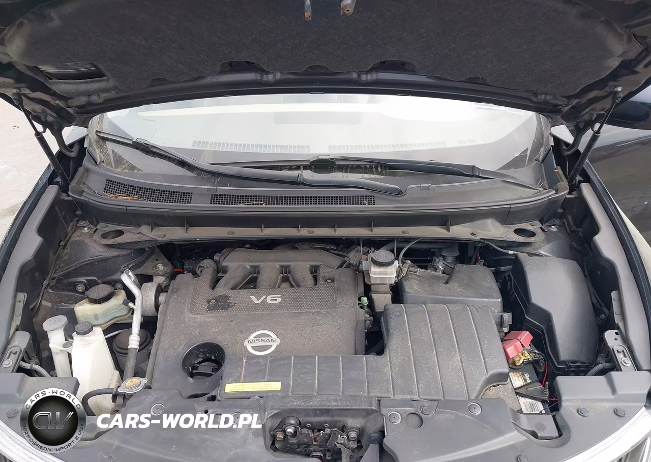 2010 Nissan Murano S VIN:JN8AZ1MW0AW126103 - 10