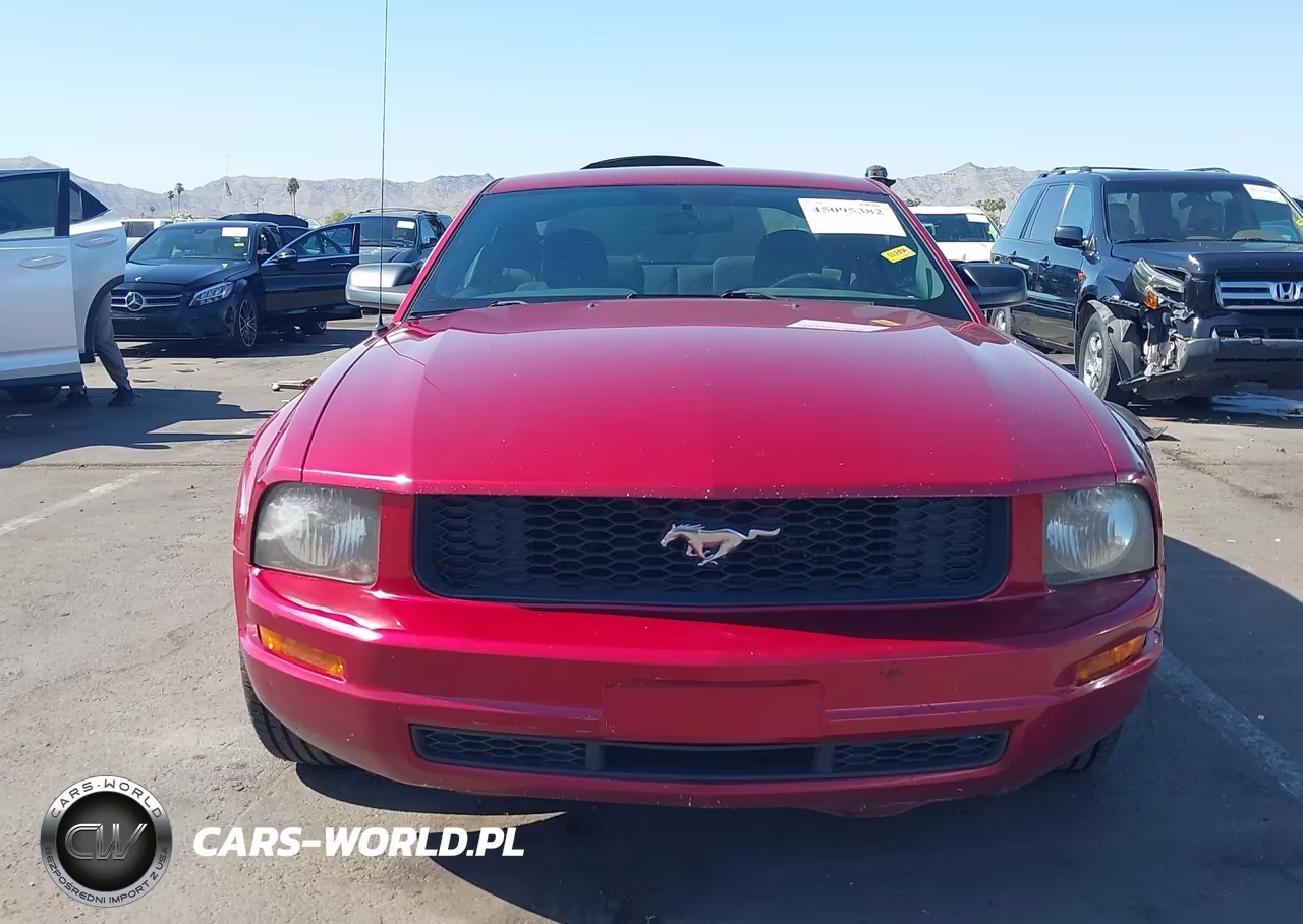 2007 Ford Mustang V6 Deluxe-V6 Premium VIN:1ZVFT80N475279507 - 12