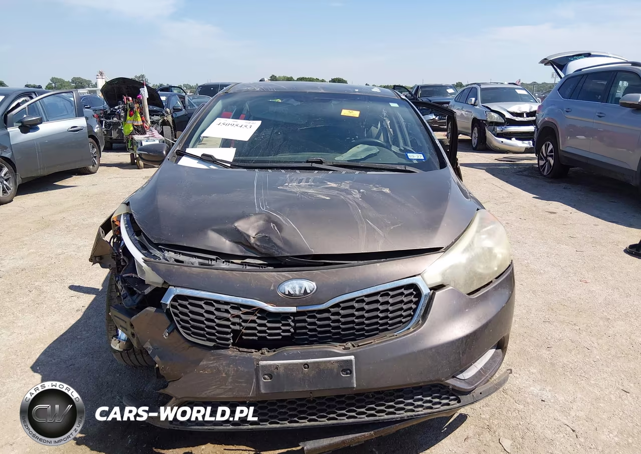 2014 Kia Forte Lx VIN:KNAFX4A6XE5190462 - 12