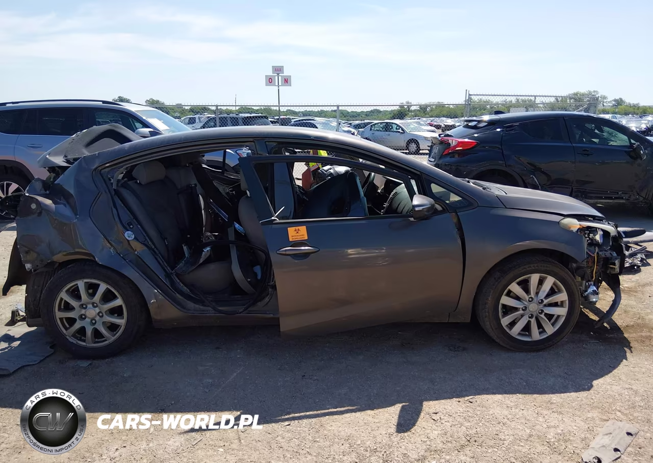 2014 Kia Forte Lx VIN:KNAFX4A6XE5190462 - 13