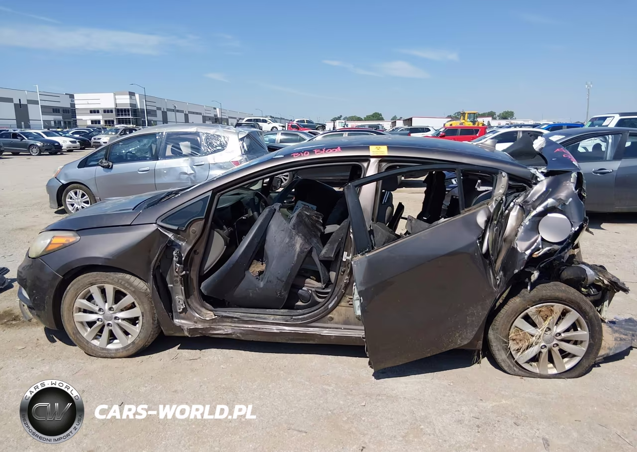 2014 Kia Forte Lx VIN:KNAFX4A6XE5190462 - 14