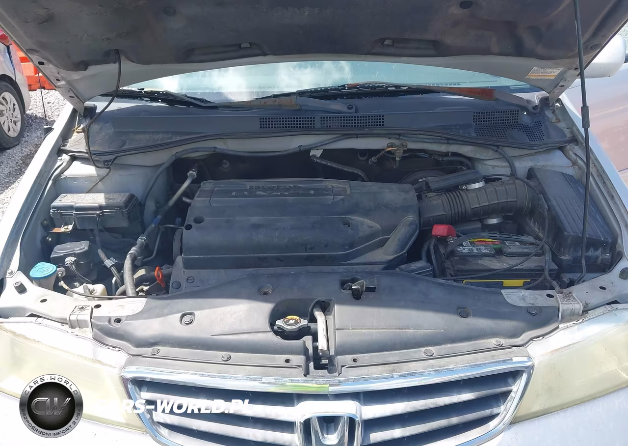 2004 Honda Odyssey Ex-L VIN:5FNRL18044B074392 - 10
