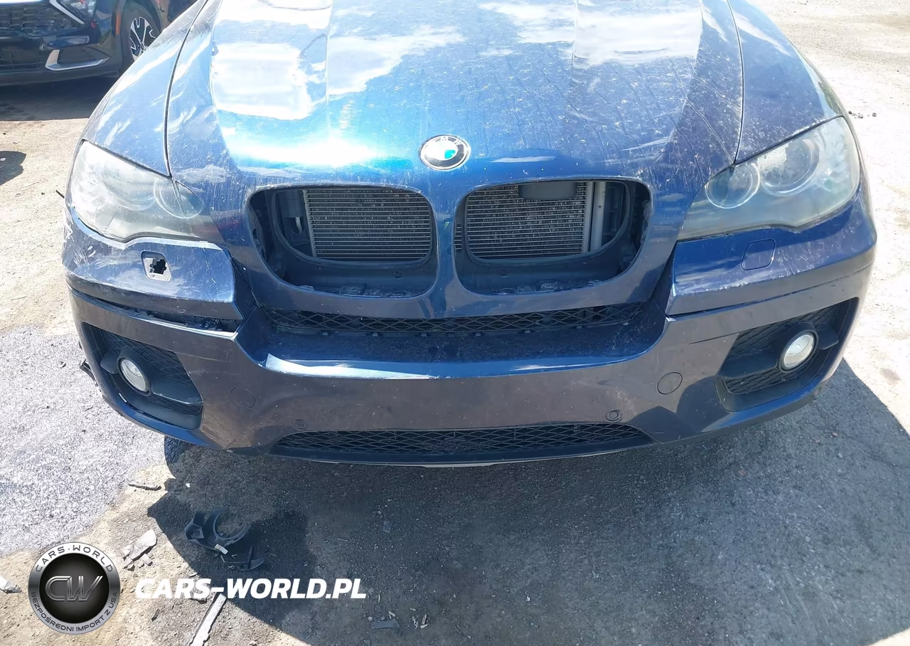 2012 BMW X6 xDrive35I VIN:5UXFG2C52CL778844 - 6