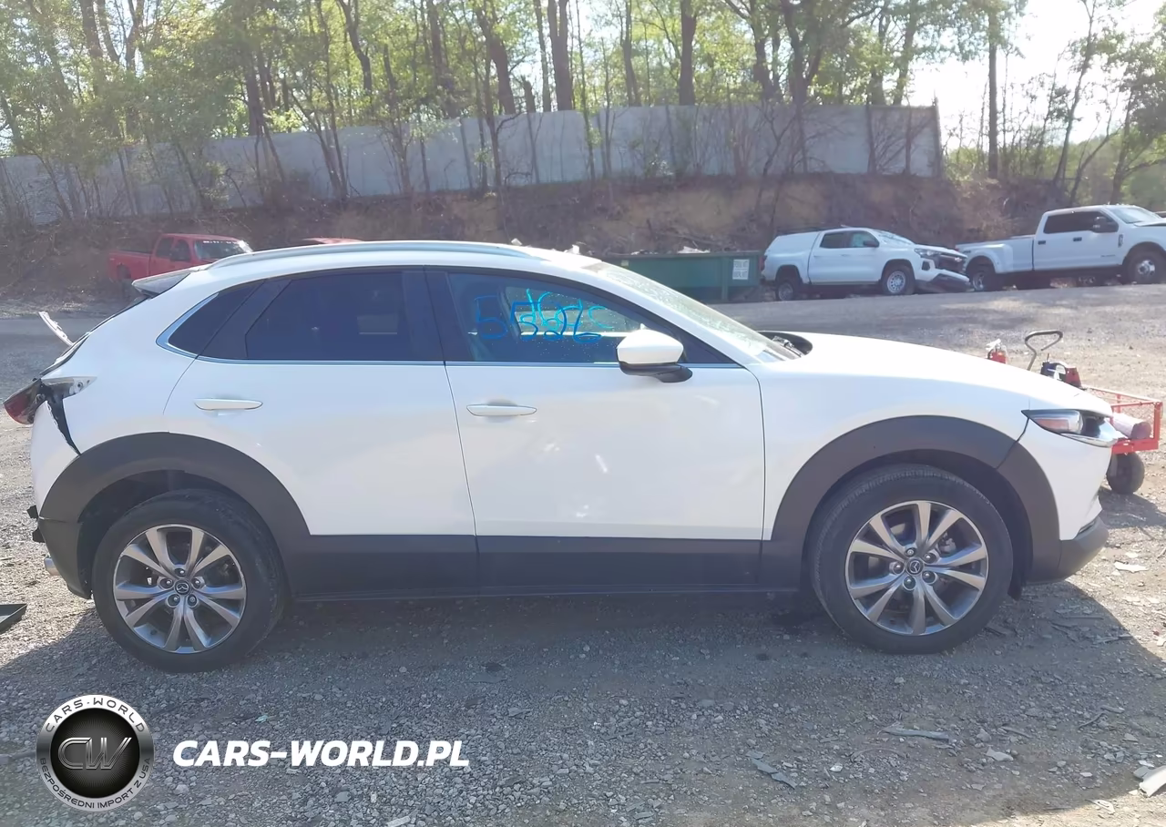 2022 Mazda Cx-30 Select VIN:3MVDMBBL2NM411685 - 13