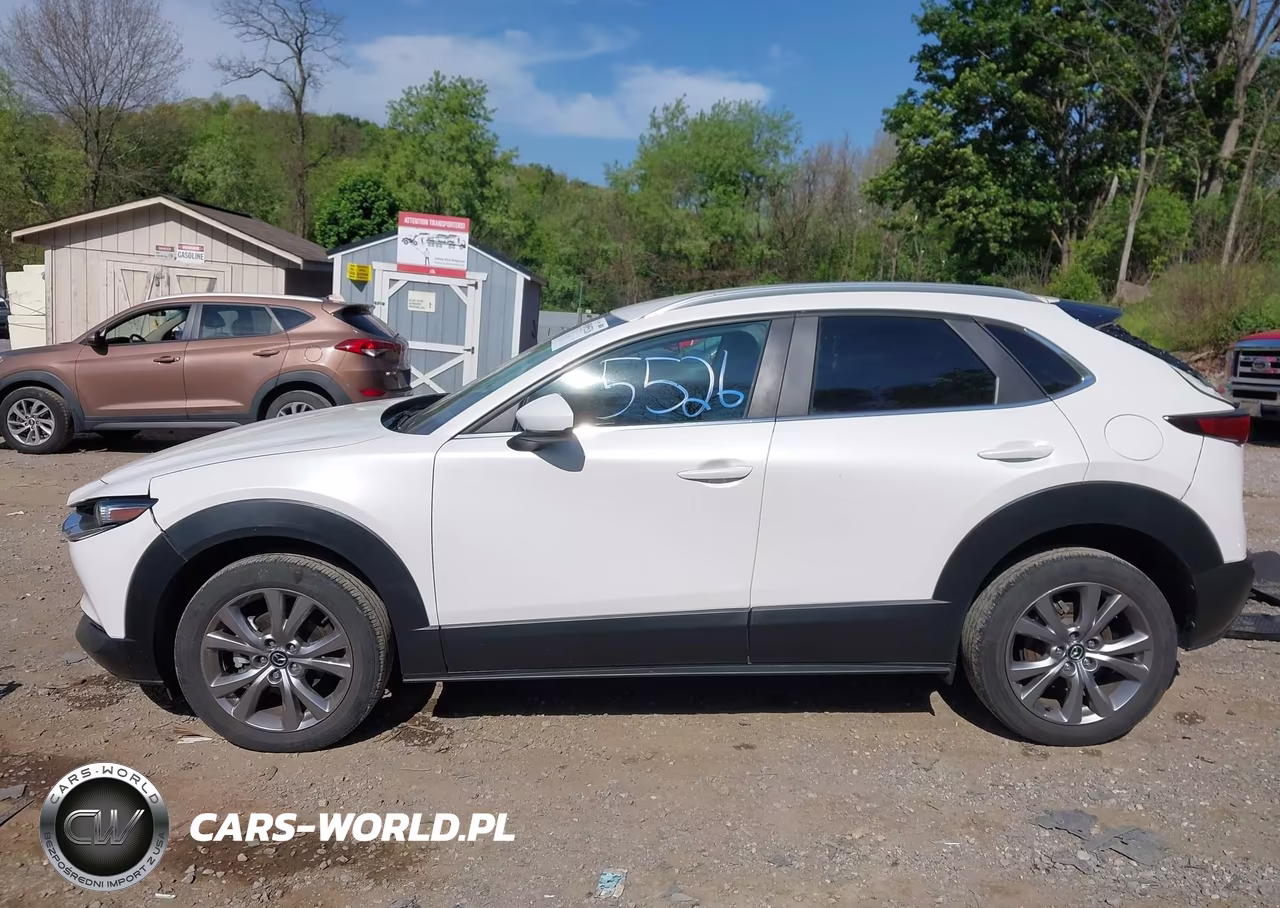 2022 Mazda Cx-30 Select VIN:3MVDMBBL2NM411685 - 14