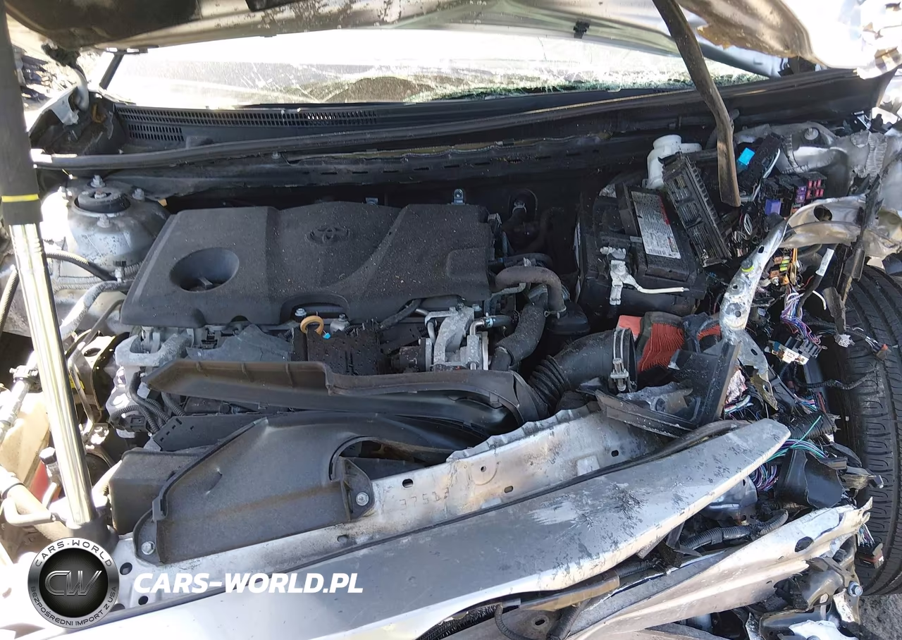 2019 Toyota Camry Le VIN:4T1B11HK7KU169568 - 10