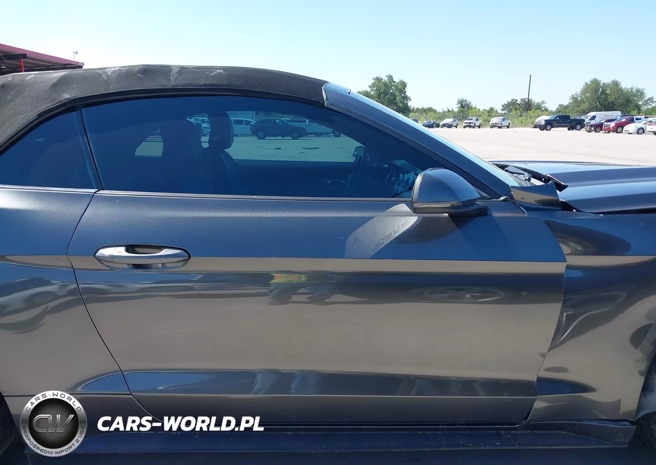 2016 Ford Mustang Ecoboost Premium VIN:1FATP8UH5G5208935 - 13