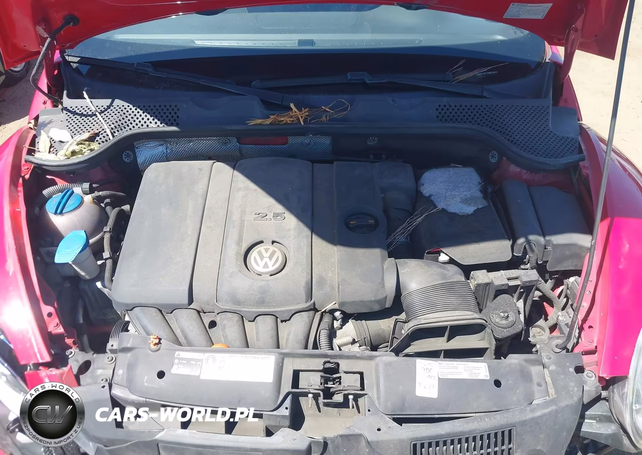 2013 Volkswagen Beetle 2.5L VIN:3VW5P7AT1DM816542 - 10