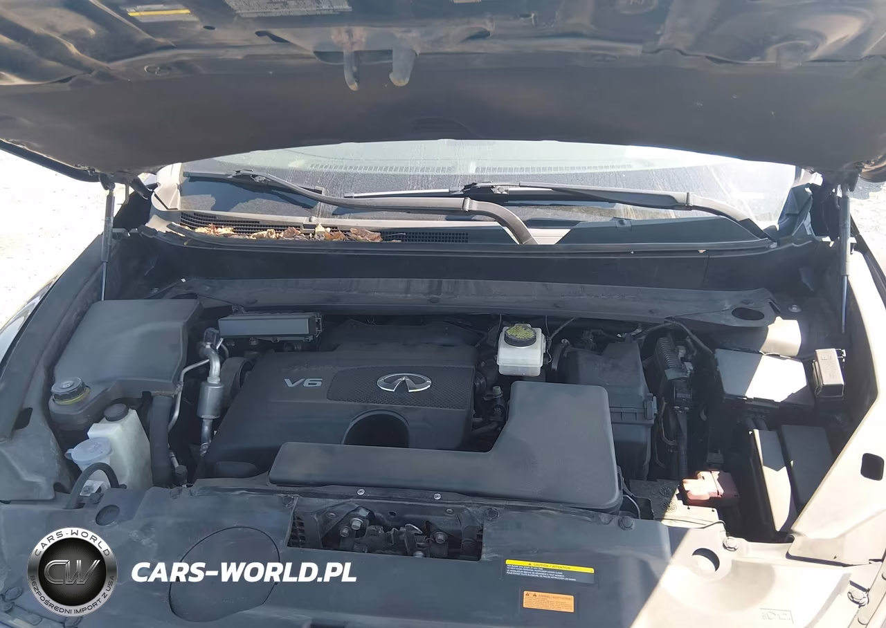2019 Infiniti Qx60 Luxe VIN:5N1DL0MM5KC523145 - 10