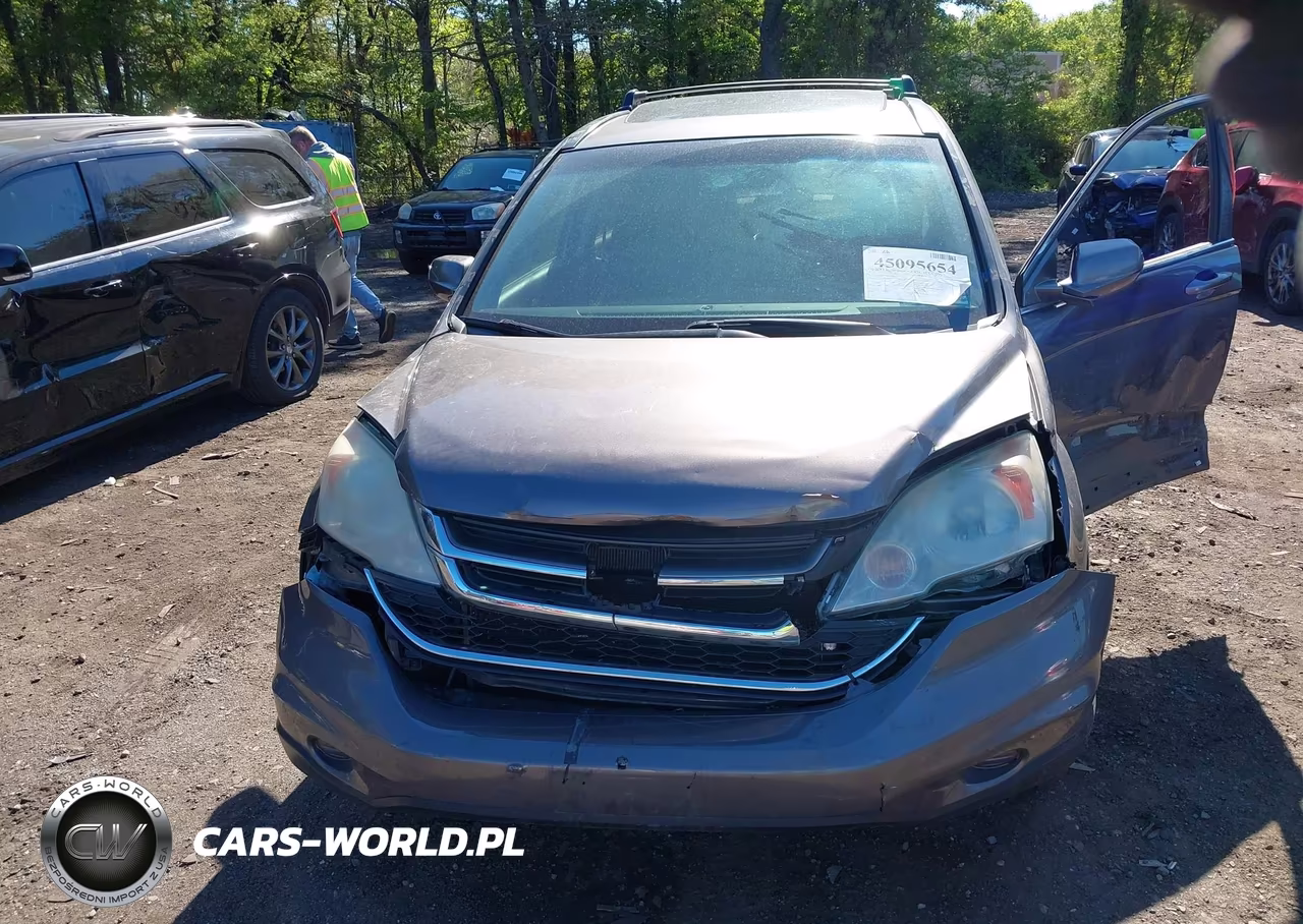 2010 Honda Cr-V Ex-L VIN:5J6RE4H73AL100847 - 12