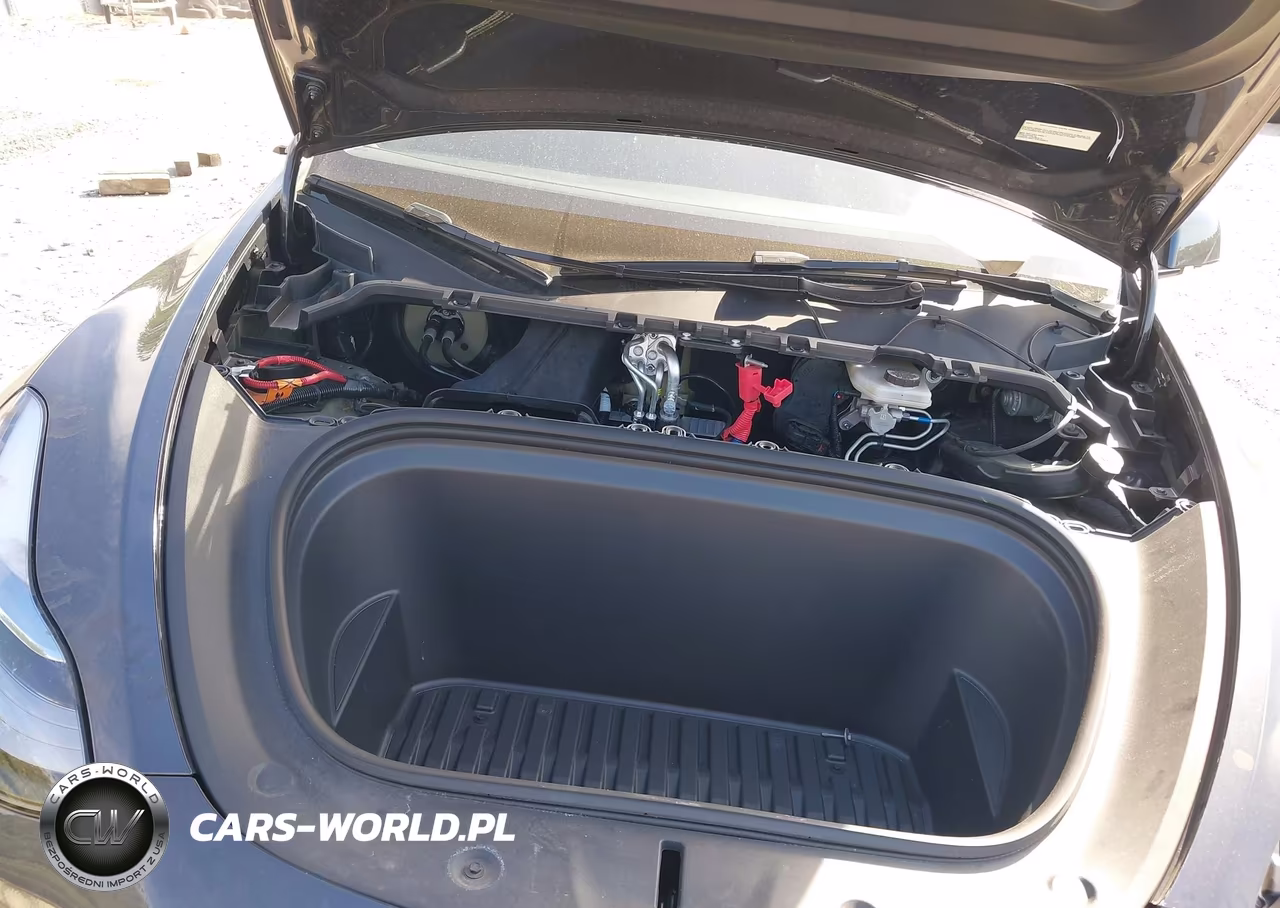 2024 Tesla Model Y Long Range Dual Motor All-Wheel Drive VIN:7SAYGDEE9RA329434 - 10