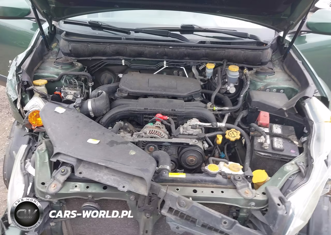 2010 Subaru Outback 2.5I Premium VIN:4S4BRBFC6A1365026 - 10