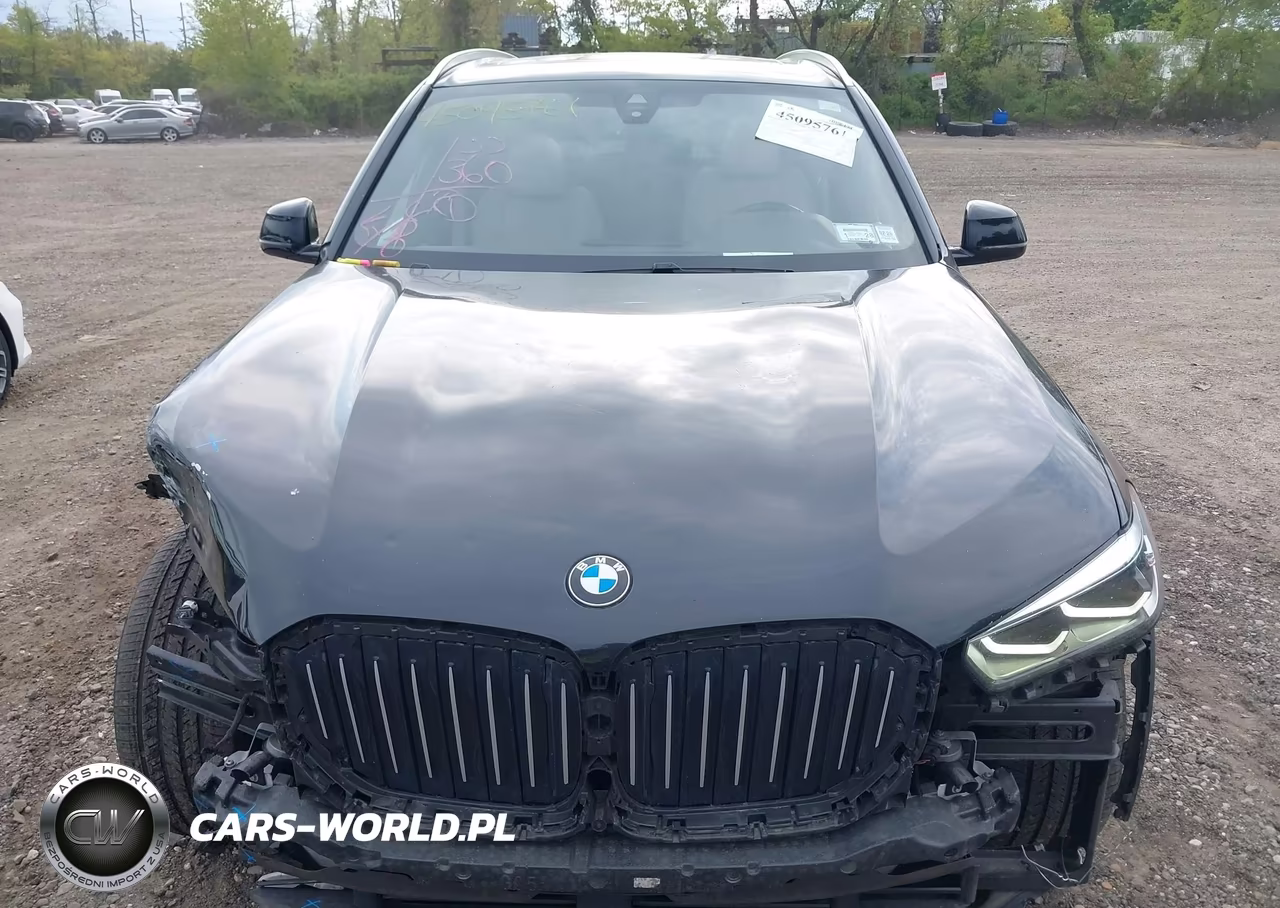 2019 BMW X5 xDrive40I VIN:5UXCR6C53KLK87623 - 12