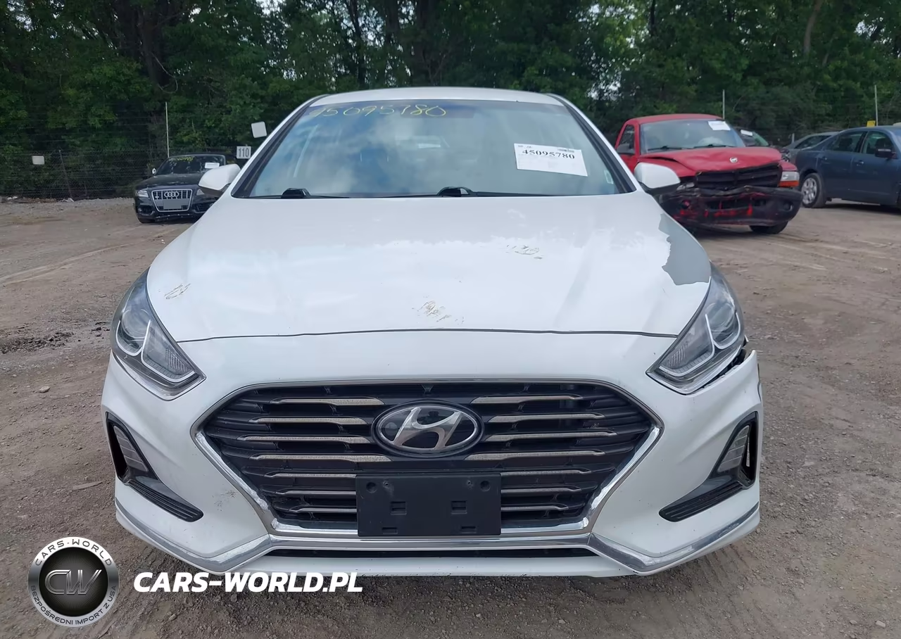 2018 Hyundai Sonata Se VIN:5NPE24AF8JH720001 - 12