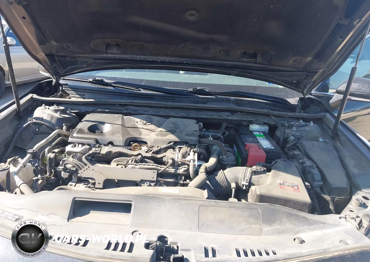 2019 Toyota Camry Xse VIN:4T1B61HK3KU814492 - 10