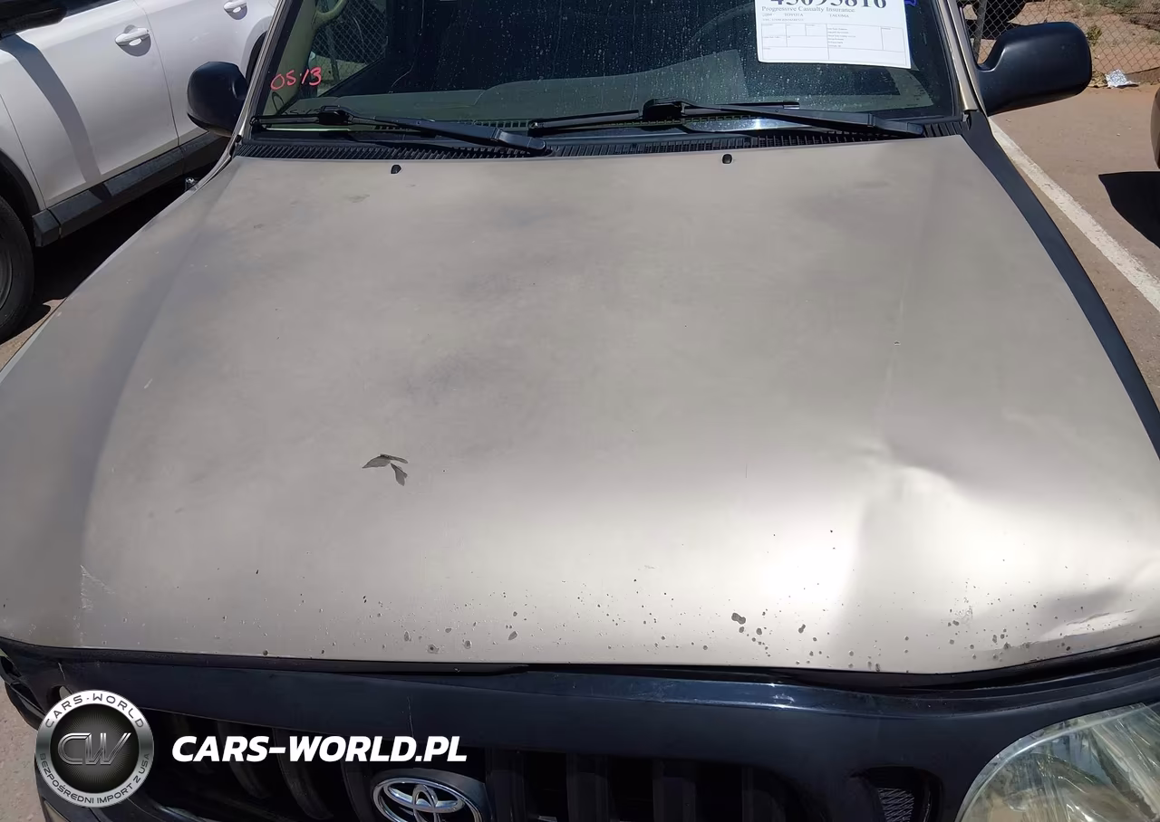 2004 Toyota Tacoma VIN:5TENL42N54Z447135 - 10