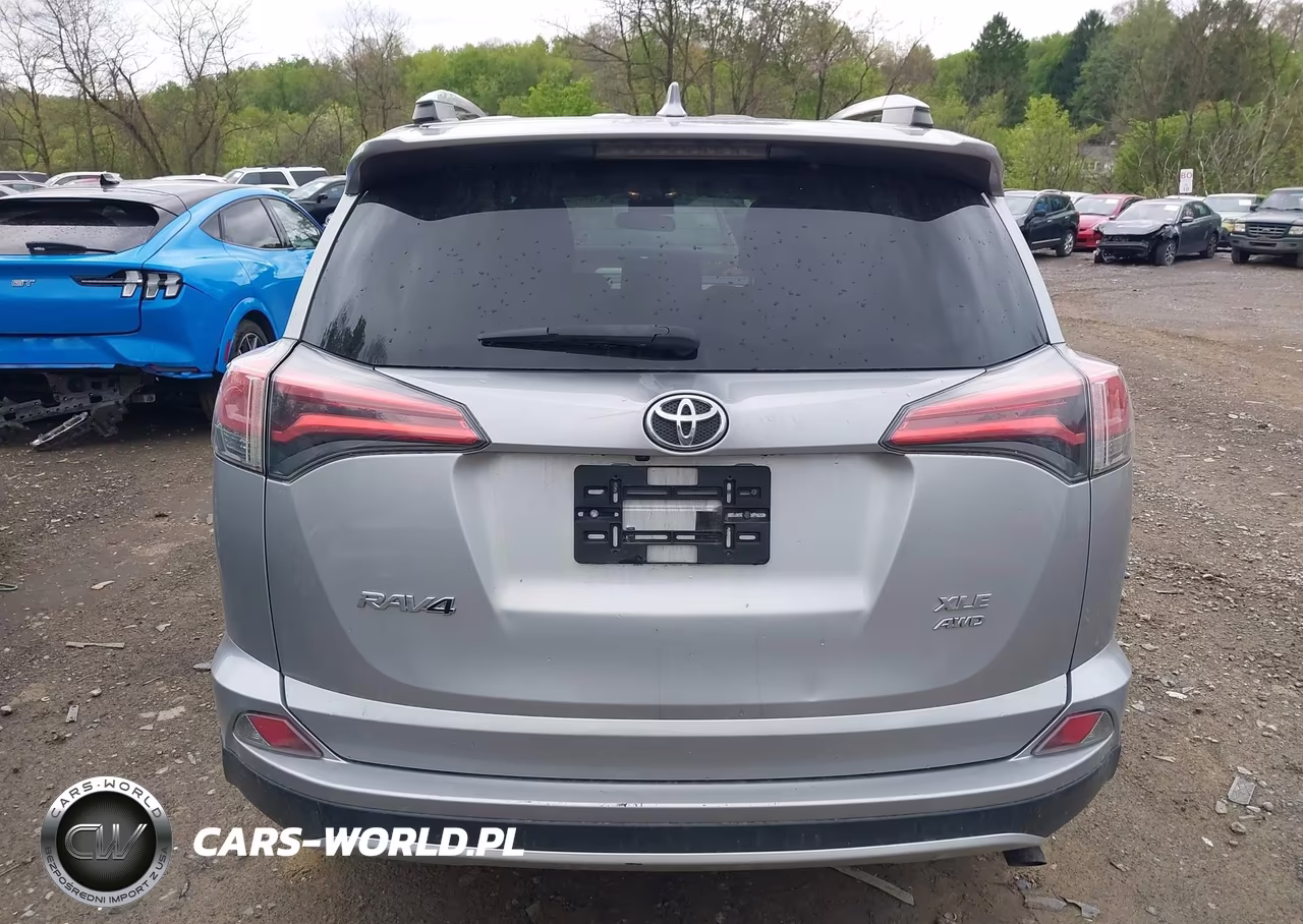 2016 Toyota Rav4 Xle VIN:2T3RFREV7GW509359 - 17