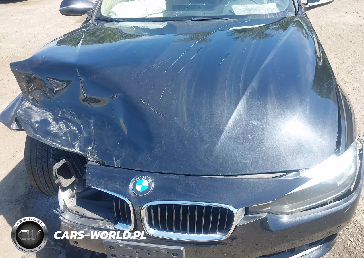 2016 BMW 320I xDrive VIN:WBA8E5G50GNT41962 - 10