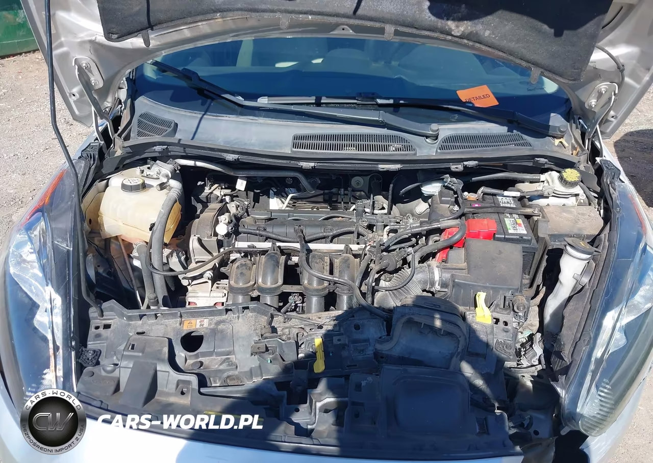2014 Ford Fiesta Se VIN:3FADP4EJ4EM118181 - 10