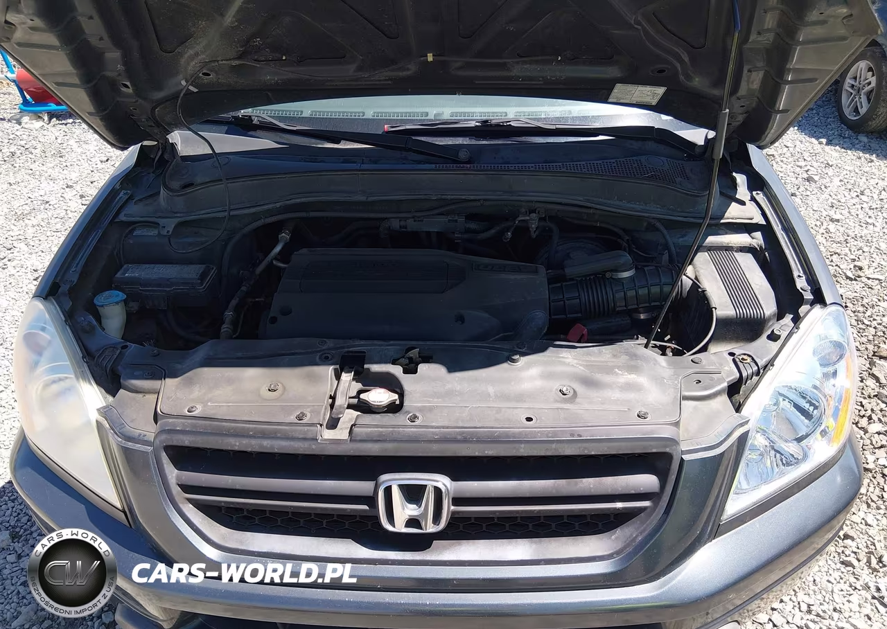 2003 Honda Pilot Ex VIN:2HKYF18463H602102 - 10