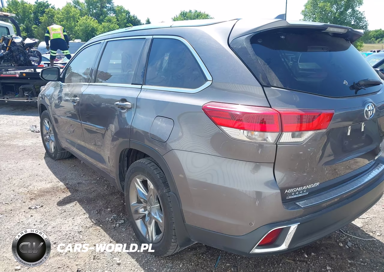 2019 Toyota Highlander Limited Platinum VIN:5TDDZRFH2KS933942 - 3