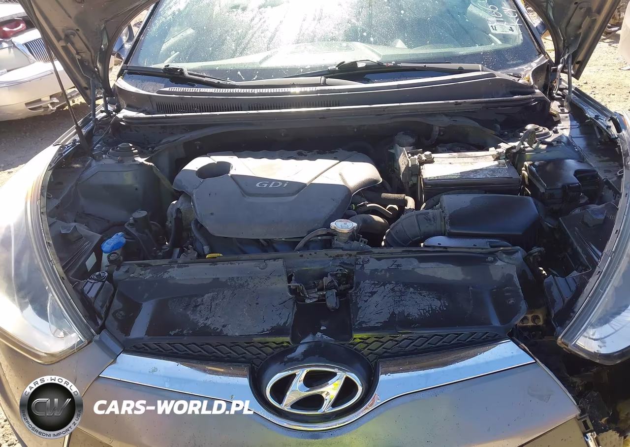 2013 Hyundai Veloster Base W-Black VIN:KMHTC6AD2DU121664 - 10