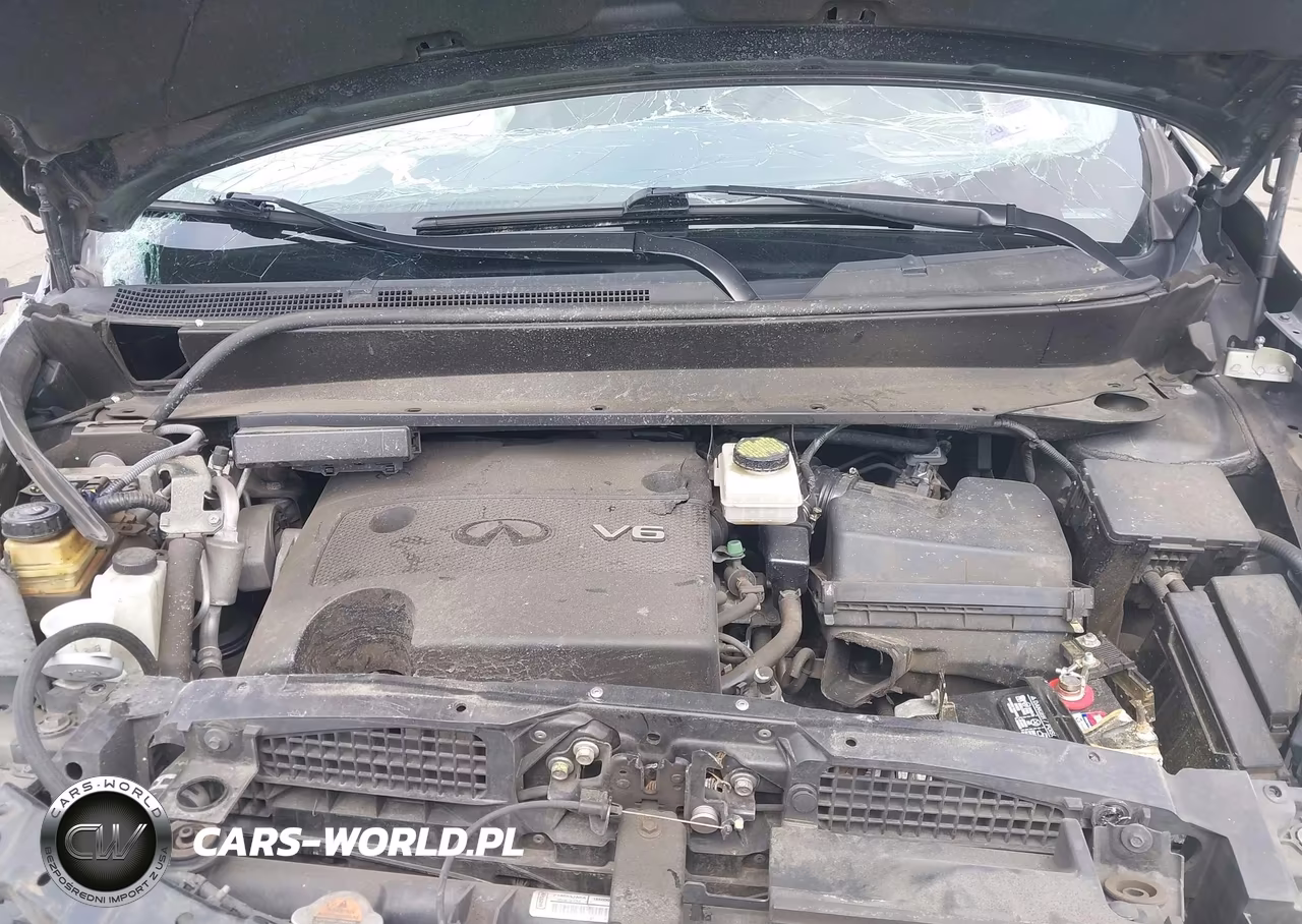 2015 Infiniti Qx60 VIN:5N1AL0MM6FC536074 - 10