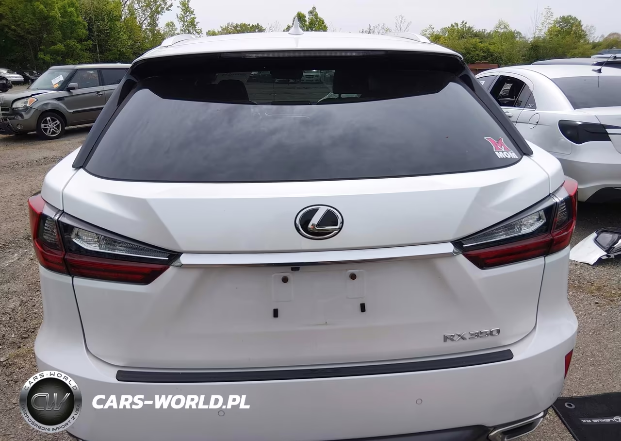 2019 Lexus Rx 350 VIN:2T2BZMCA1KC210055 - 16